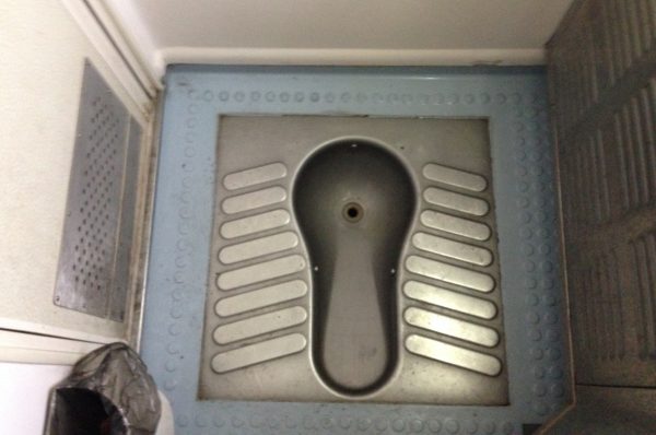 Туалет - Орлиное гнездо в поезде (фото)